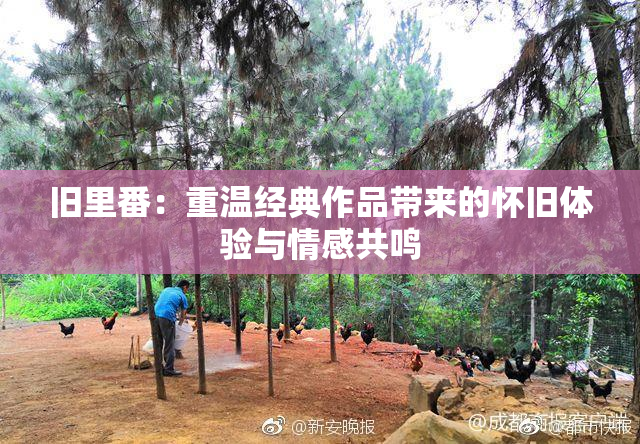 旧里番：重温经典作品带来的怀旧体验与情感共鸣
