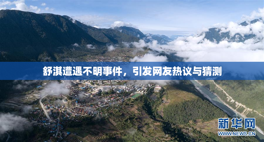 舒淇遭遇不明事件，引发网友热议与猜测