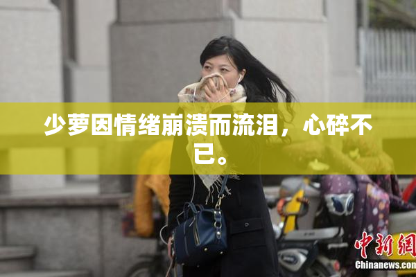少萝因情绪崩溃而流泪，心碎不已。