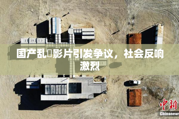 国产乱婬影片引发争议，社会反响激烈