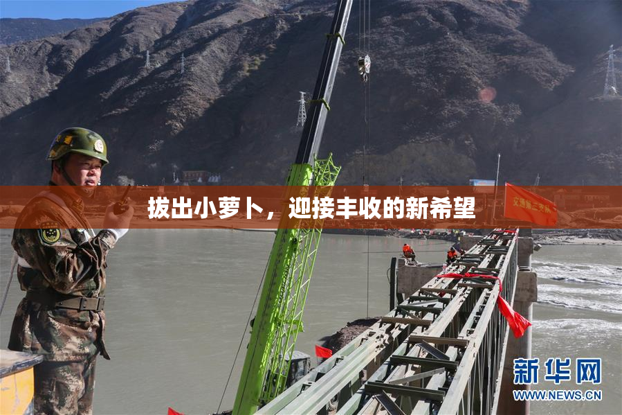 拔出小萝卜，迎接丰收的新希望