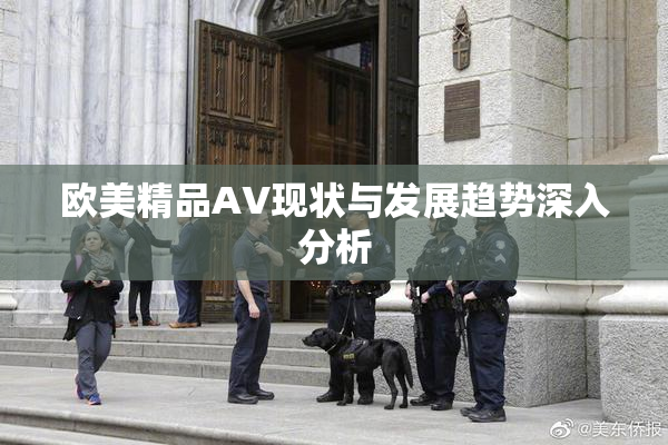 欧美精品AV现状与发展趋势深入分析