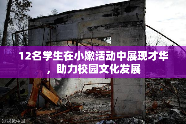 12名学生在小嫩活动中展现才华，助力校园文化发展