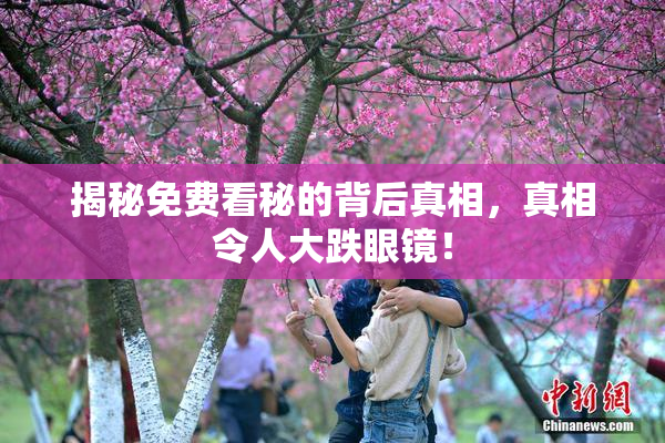 揭秘免费看秘的背后真相，真相令人大跌眼镜！