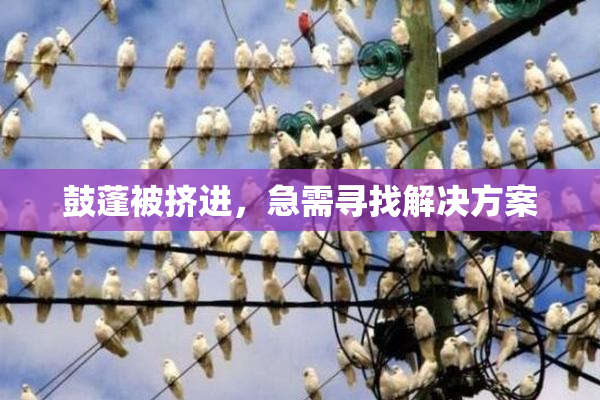 鼓蓬被挤进，急需寻找解决方案