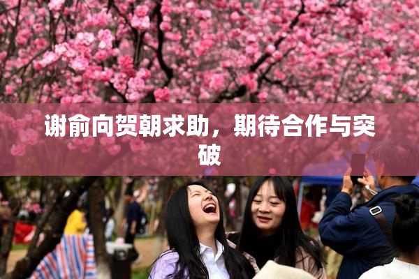 谢俞向贺朝求助，期待合作与突破