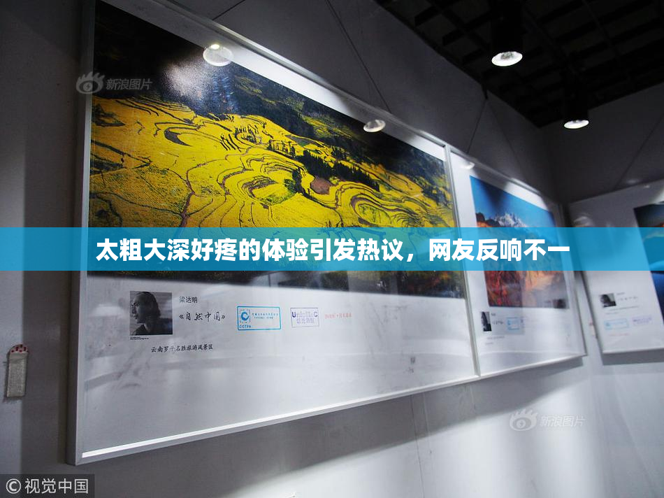 太粗大深好疼的体验引发热议，网友反响不一