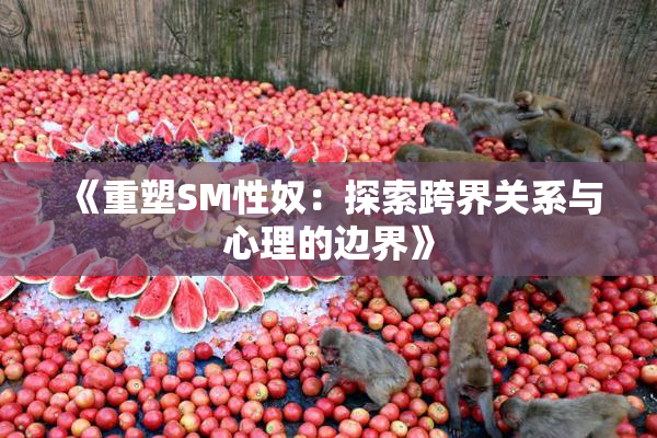 《重塑SM性奴：探索跨界关系与心理的边界》