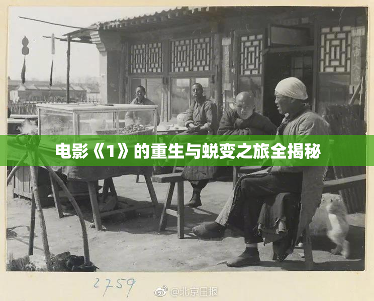 电影《1》的重生与蜕变之旅全揭秘