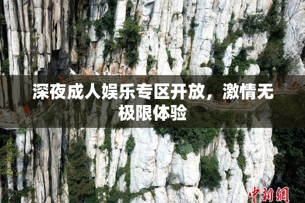 深夜成人娱乐专区开放，激情无极限体验