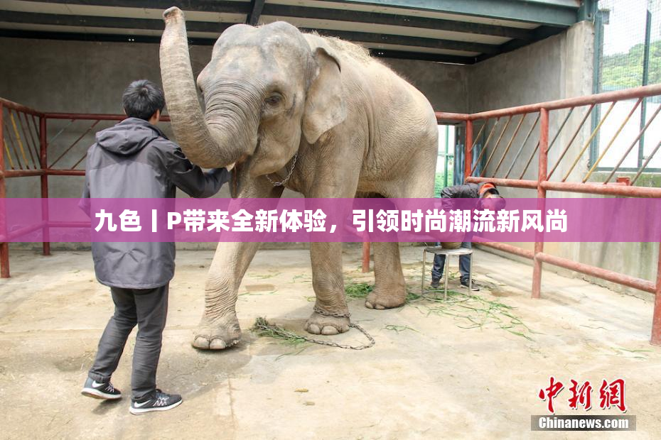 九色丨P带来全新体验，引领时尚潮流新风尚
