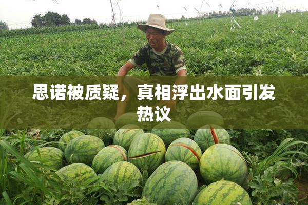 思诺被质疑，真相浮出水面引发热议