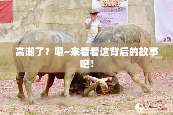 高潮了？嗯~来看看这背后的故事吧！