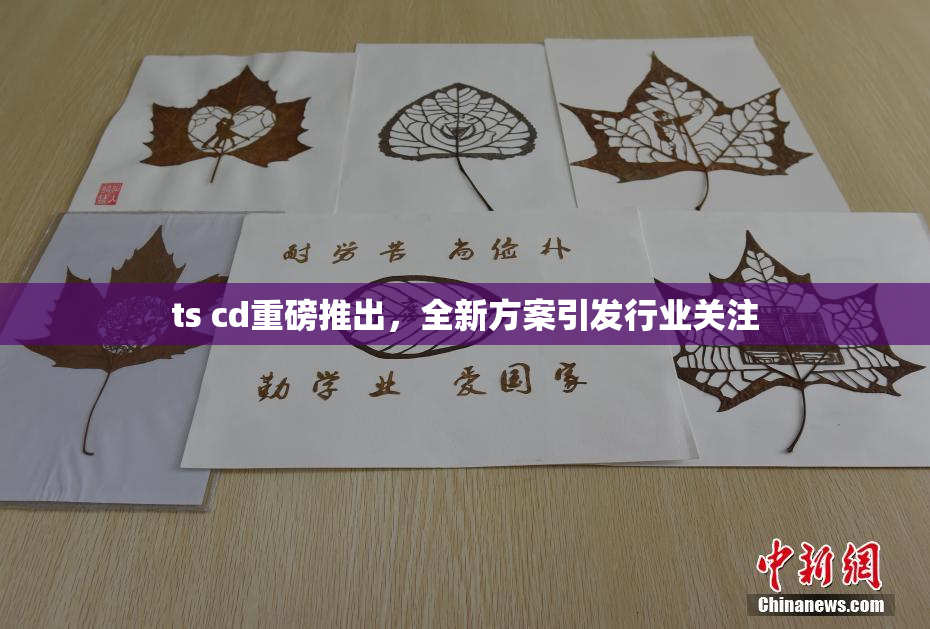 ts cd重磅推出，全新方案引发行业关注