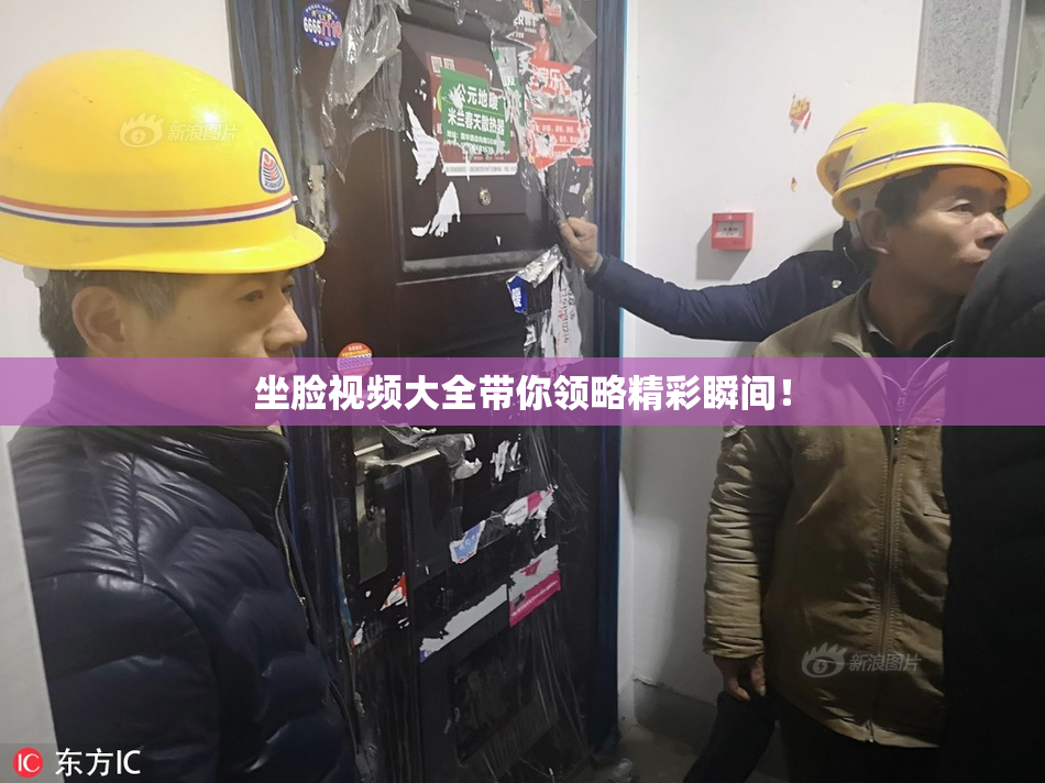坐脸视频大全带你领略精彩瞬间！