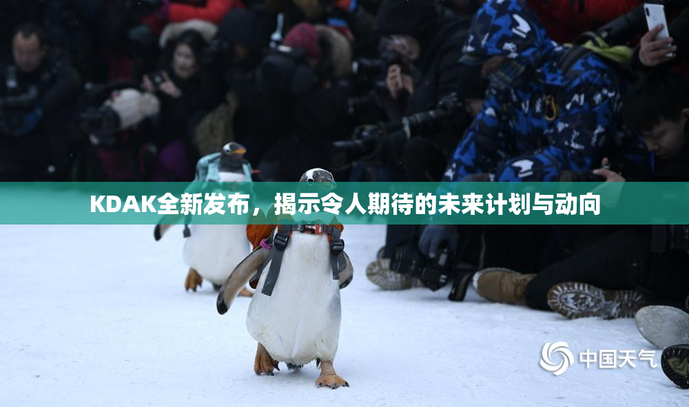 KDAK全新发布，揭示令人期待的未来计划与动向