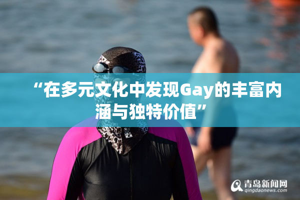 “在多元文化中发现Gay的丰富内涵与独特价值”