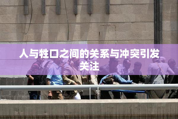 人与牲口之间的关系与冲突引发关注
