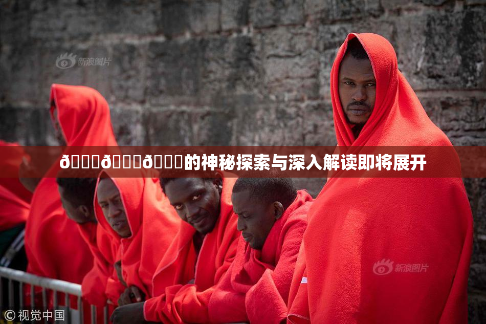 🍆🍑🔞的神秘探索与深入解读即将展开