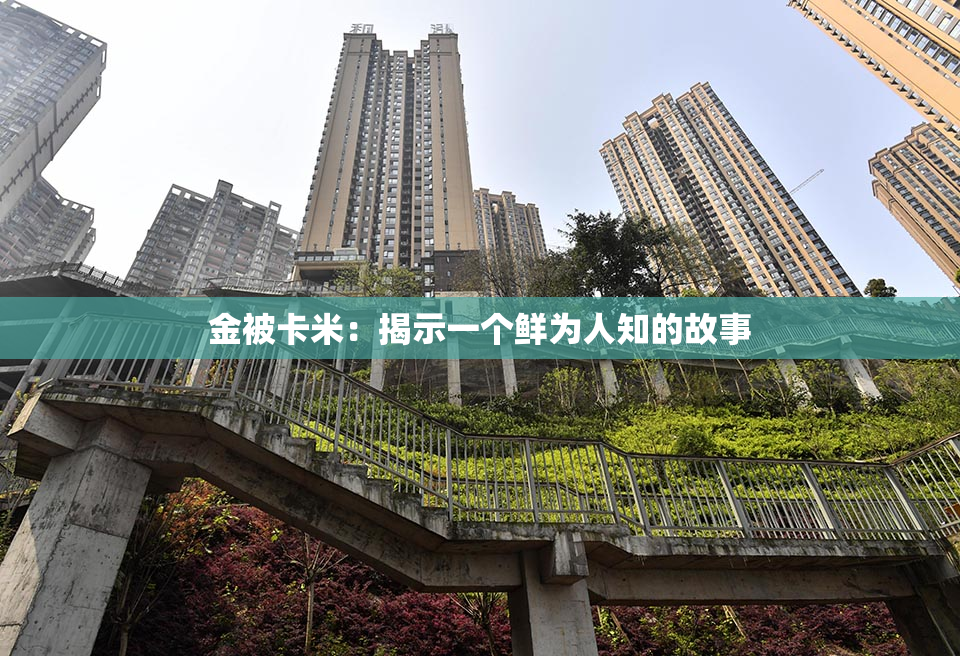 金被卡米：揭示一个鲜为人知的故事
