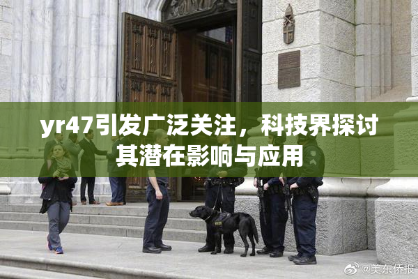 yr47引发广泛关注，科技界探讨其潜在影响与应用