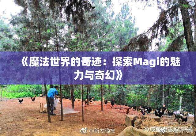 《魔法世界的奇迹：探索Magi的魅力与奇幻》
