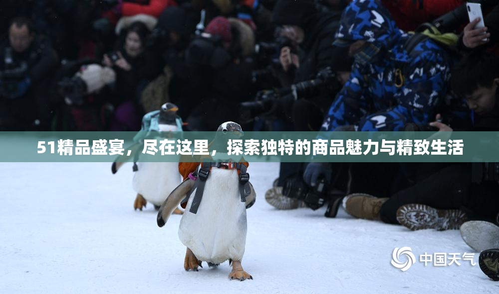 51精品盛宴，尽在这里，探索独特的商品魅力与精致生活