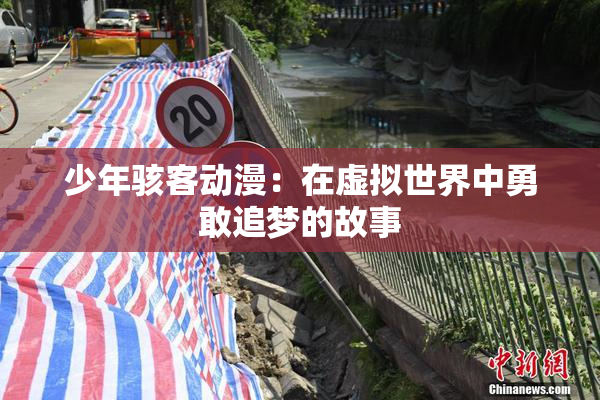 少年骇客动漫：在虚拟世界中勇敢追梦的故事