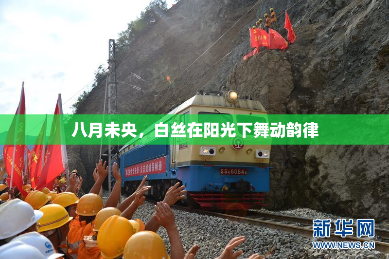 八月未央，白丝在阳光下舞动韵律