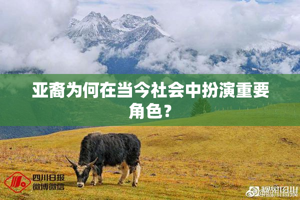 亚裔为何在当今社会中扮演重要角色？