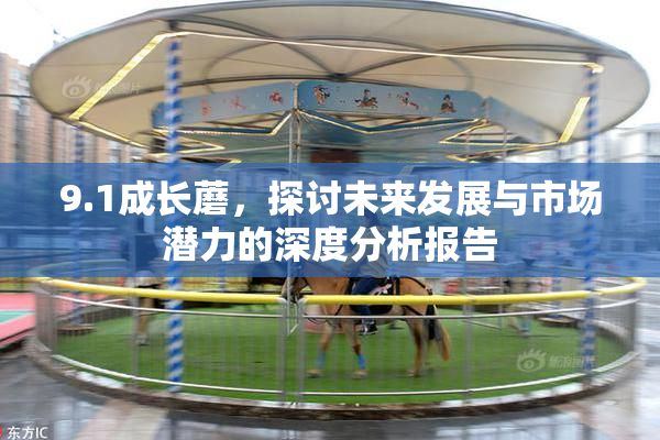 9.1成长蘑，探讨未来发展与市场潜力的深度分析报告