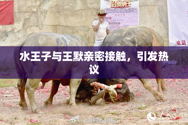 水王子与王默亲密接触，引发热议