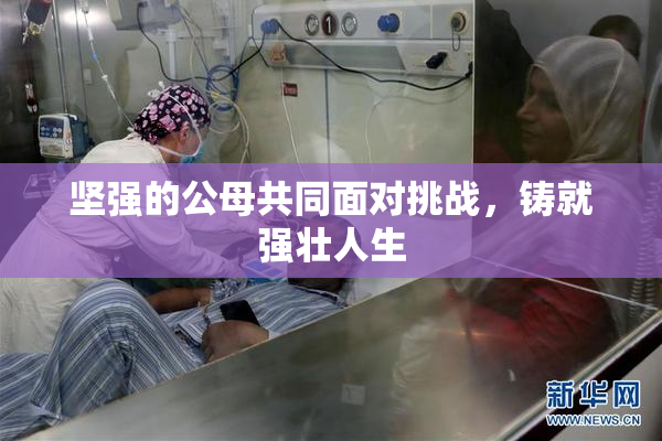坚强的公母共同面对挑战，铸就强壮人生