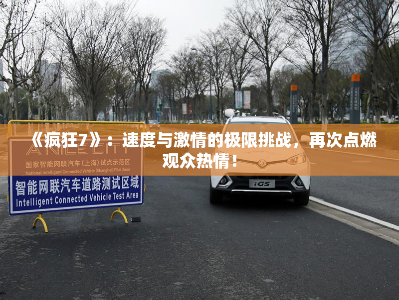 《疯狂7》：速度与激情的极限挑战，再次点燃观众热情！