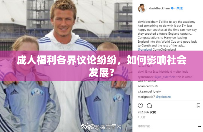 成人福利各界议论纷纷，如何影响社会发展？