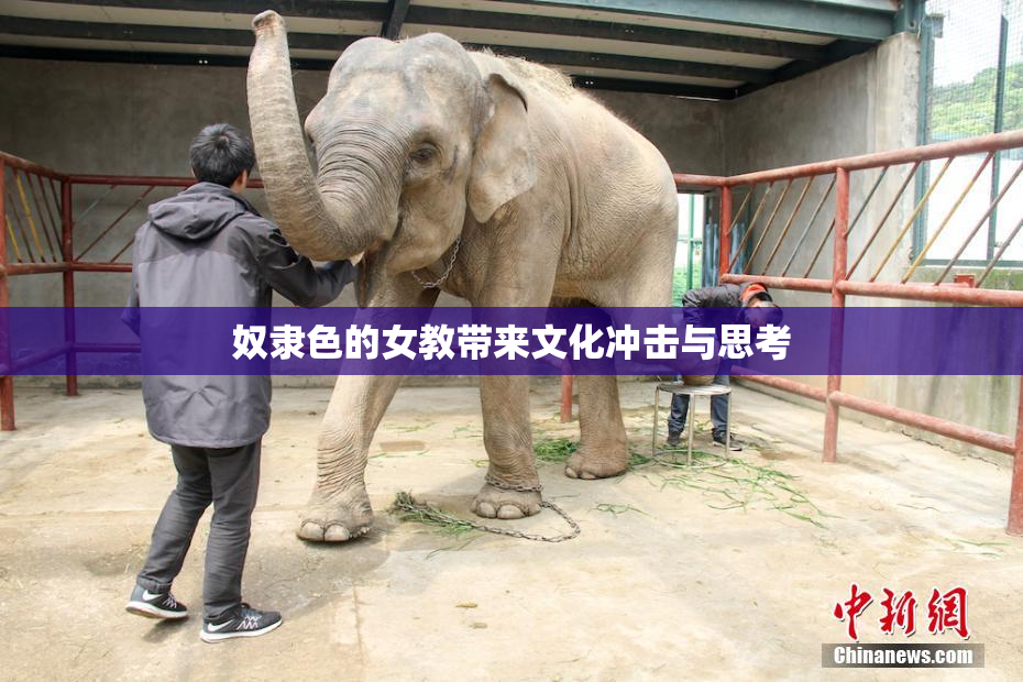 奴隶色的女教带来文化冲击与思考
