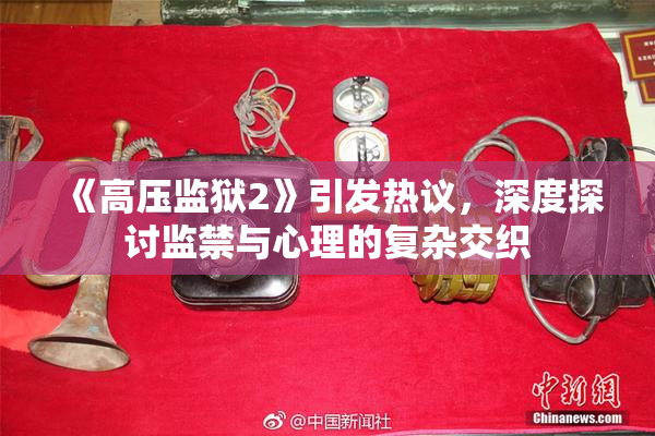 《高压监狱2》引发热议，深度探讨监禁与心理的复杂交织