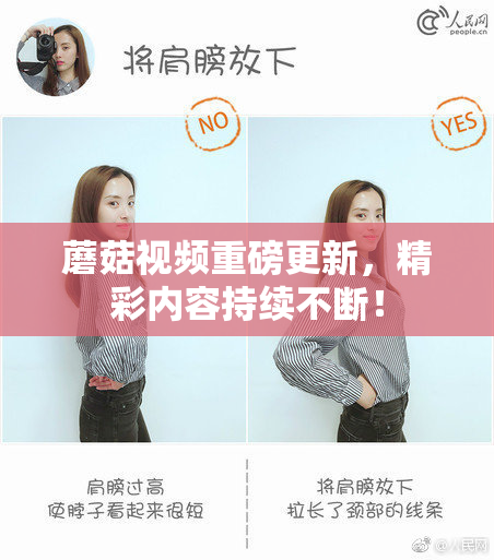 蘑菇视频重磅更新，精彩内容持续不断！