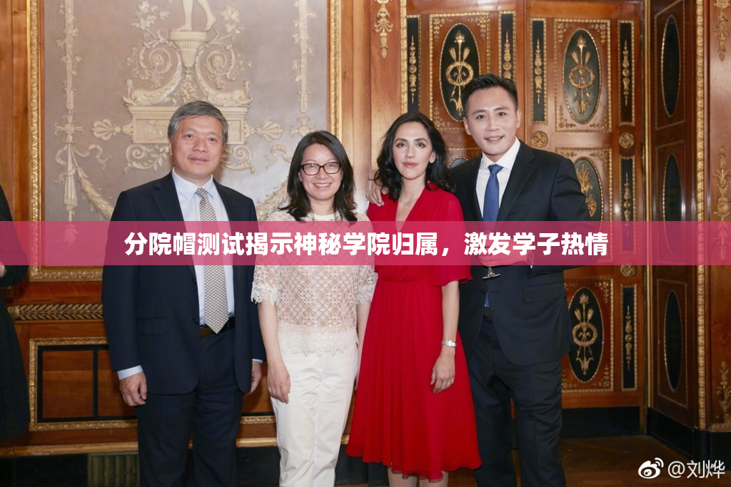 分院帽测试揭示神秘学院归属，激发学子热情