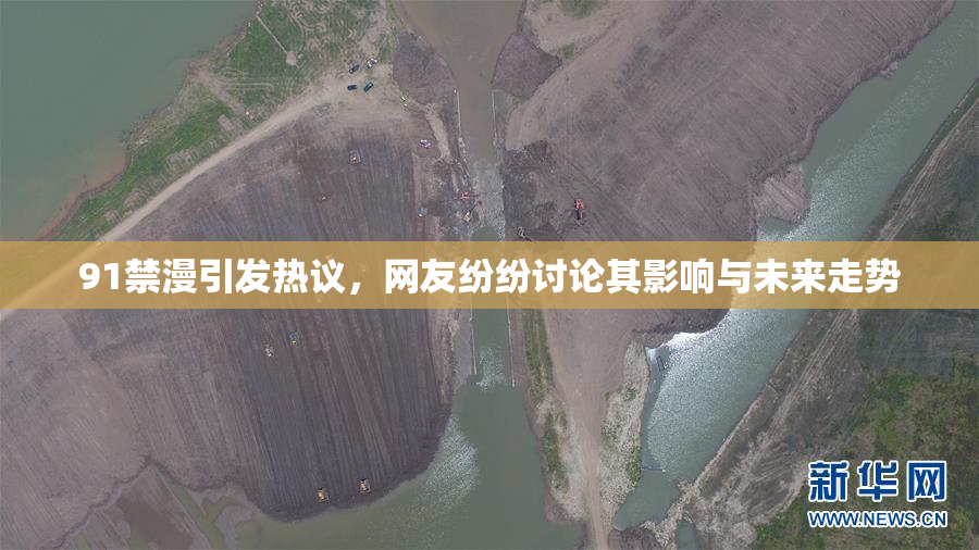 91禁漫引发热议，网友纷纷讨论其影响与未来走势