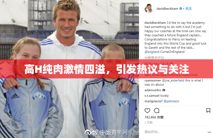 高H纯肉激情四溢，引发热议与关注