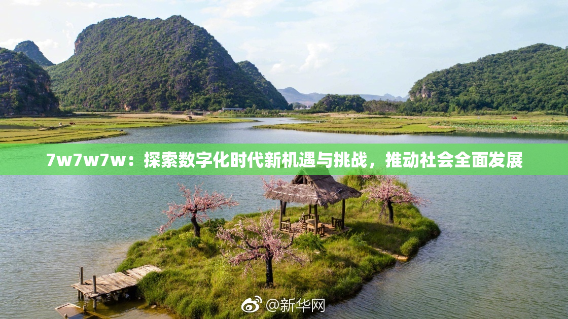 7w7w7w：探索数字化时代新机遇与挑战，推动社会全面发展