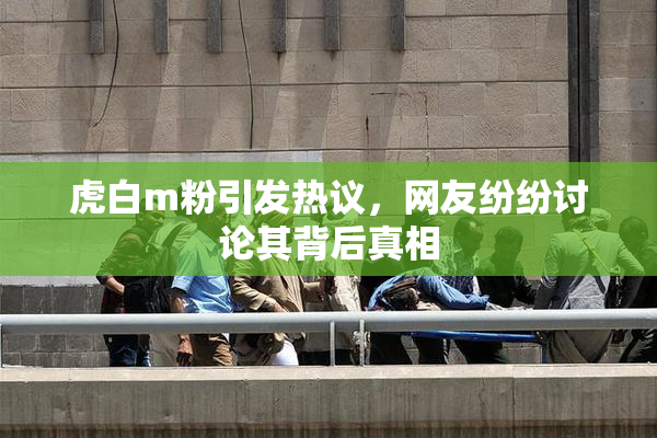 虎白m粉引发热议，网友纷纷讨论其背后真相