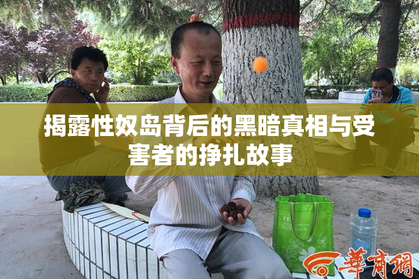 揭露性奴岛背后的黑暗真相与受害者的挣扎故事