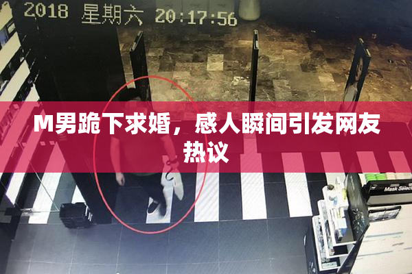 M男跪下求婚，感人瞬间引发网友热议