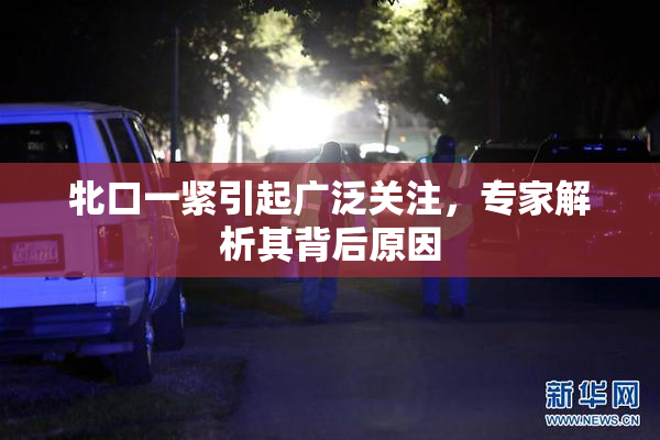 牝口一紧引起广泛关注，专家解析其背后原因