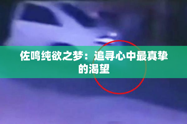 佐鸣纯欲之梦：追寻心中最真挚的渴望