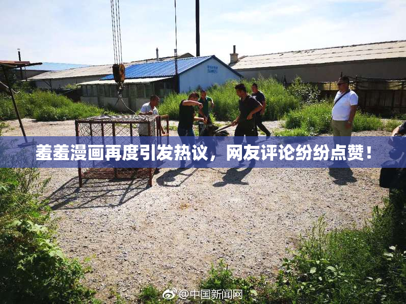 羞羞漫画再度引发热议，网友评论纷纷点赞！