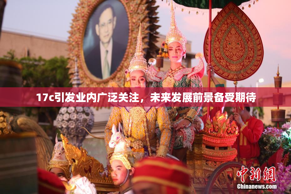 17c引发业内广泛关注，未来发展前景备受期待