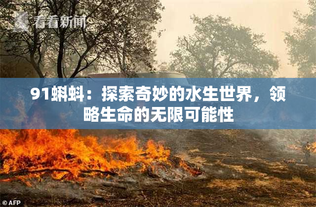 91蝌蚪：探索奇妙的水生世界，领略生命的无限可能性
